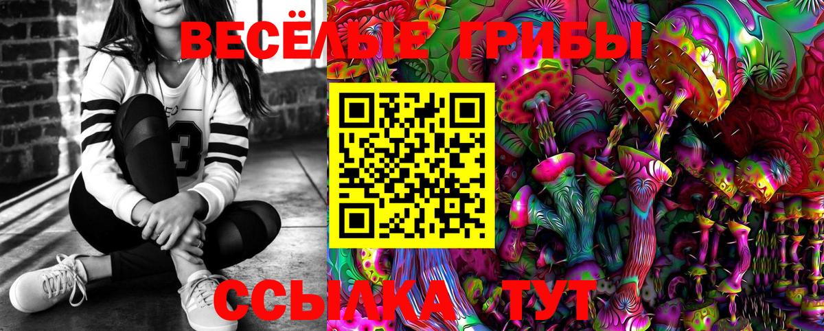 Скопин  Галлюциногенные грибы Psilocybe  даркнет сайт  Вход с VPN  Галлюциногенные грибы мицелий 